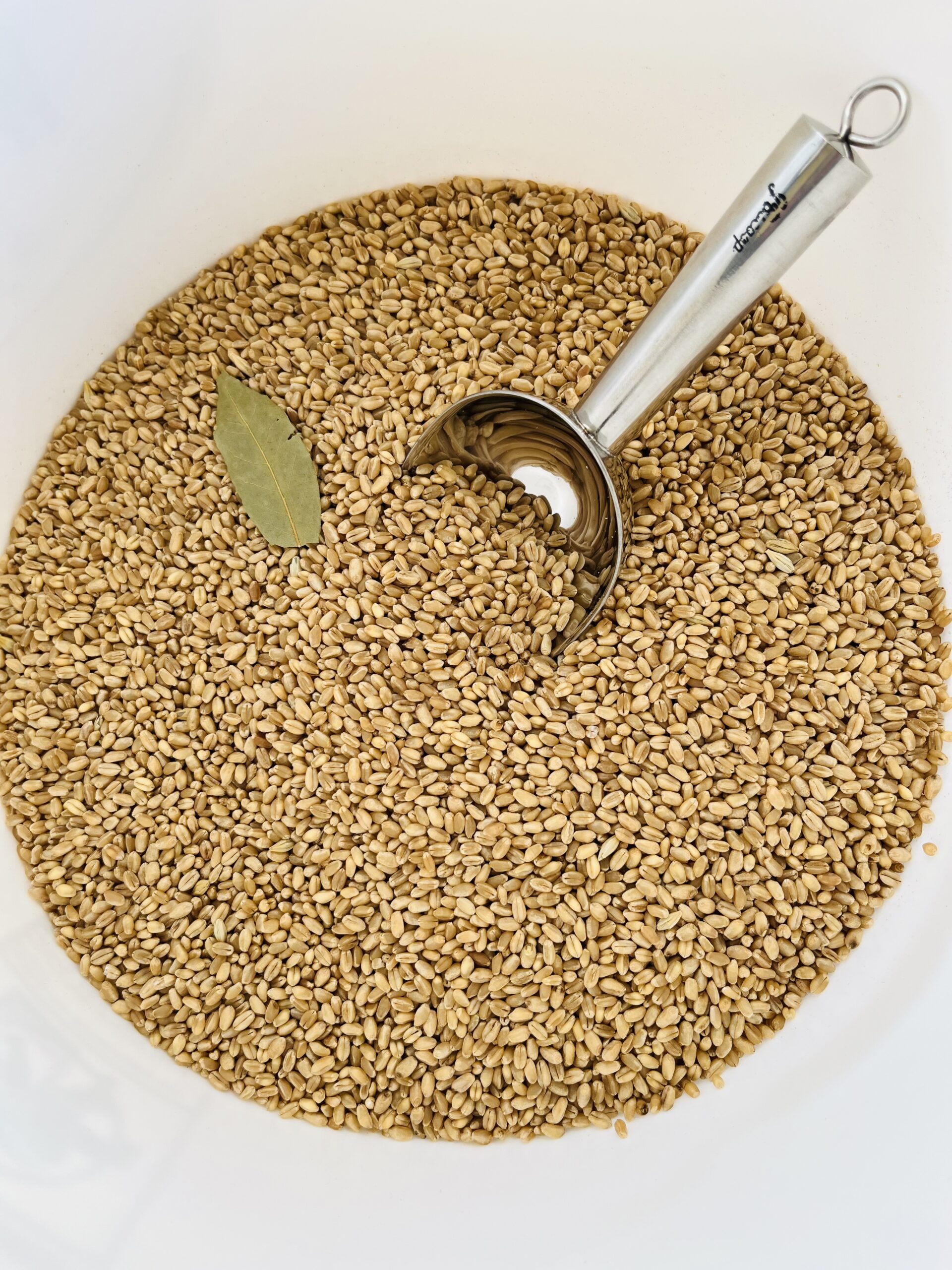 Fresh Milled Grains Basics