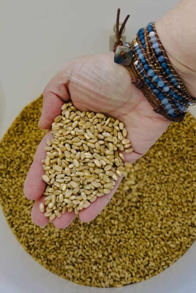 Grandma's Iron Skillet Fresh Milled Grains