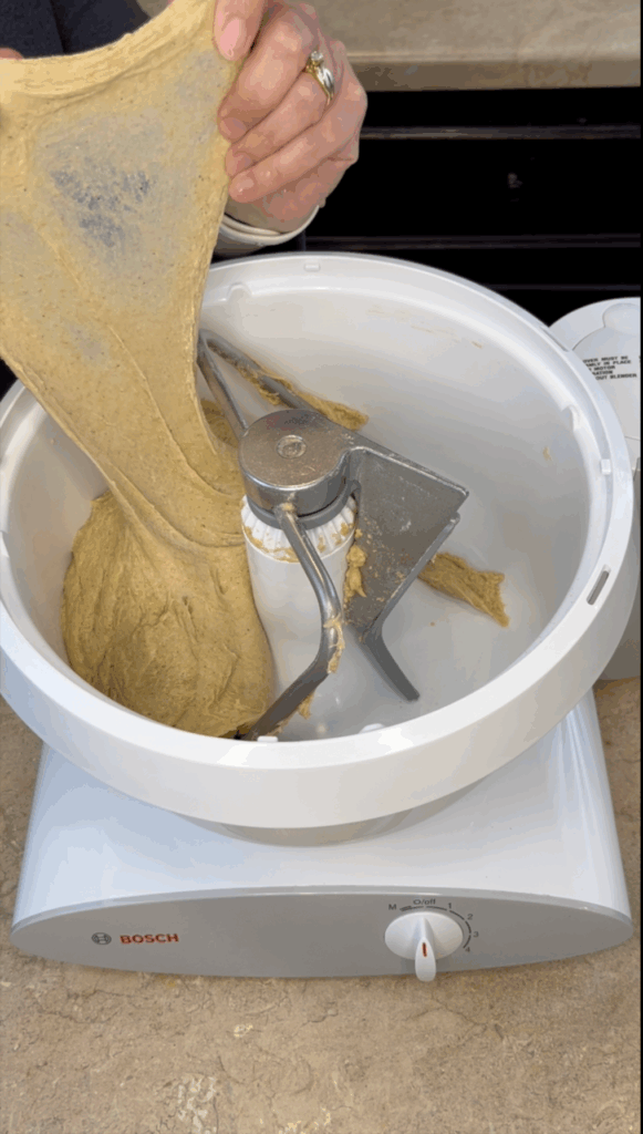 Fresh milled flour dough windowpane