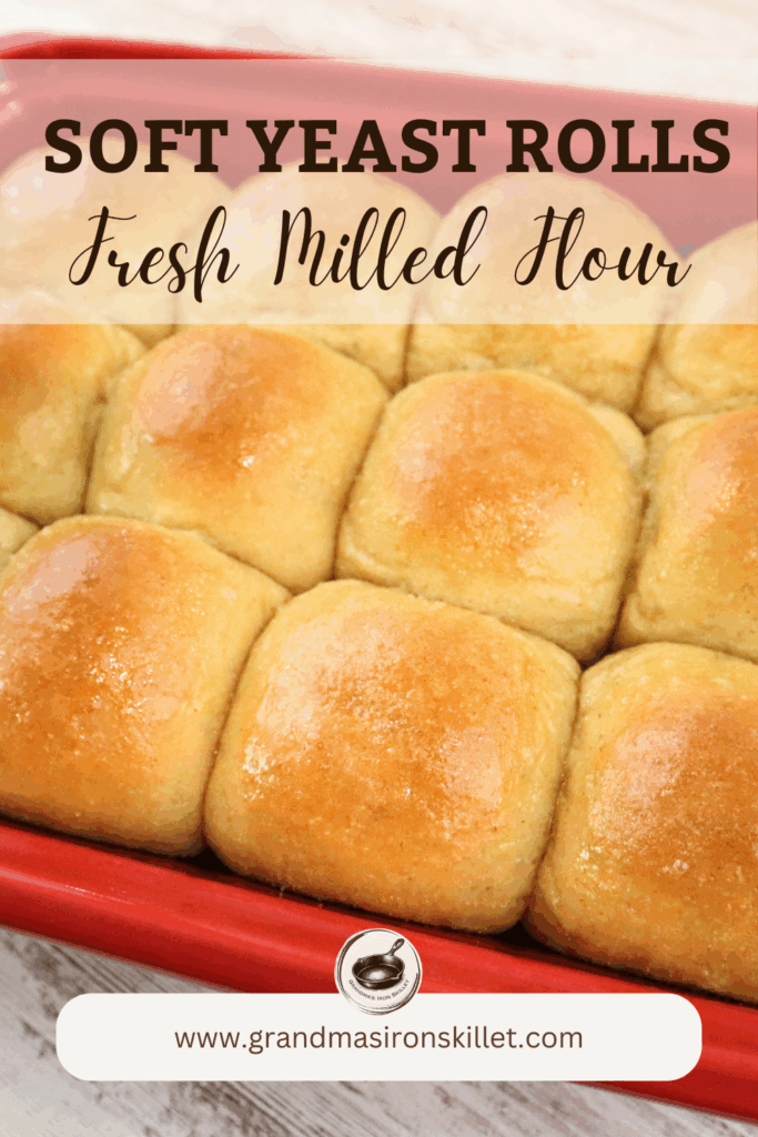 Soft Yeast Rolls Made with Fresh Milled Flour