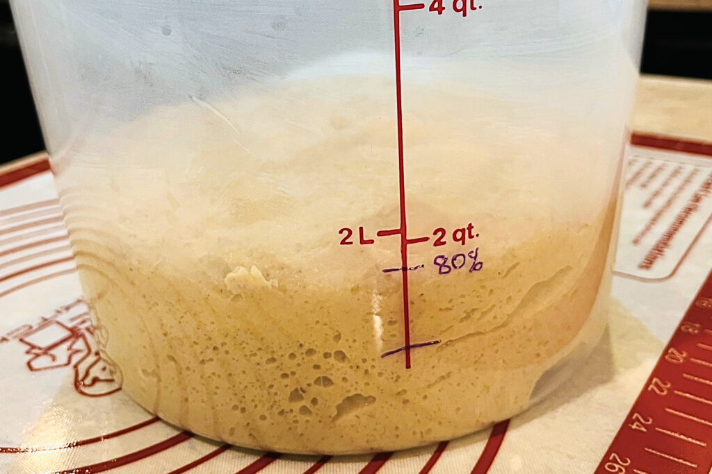 Fresh Milled Flour Basic Dough Recipe Bulk Fermentation.