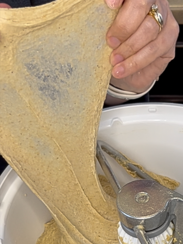 Windowpane knead in Bosch Universal Plus Stand Mixer